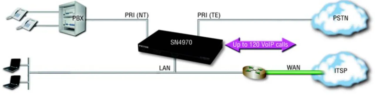 Figure 4. Internet telephony IAD application