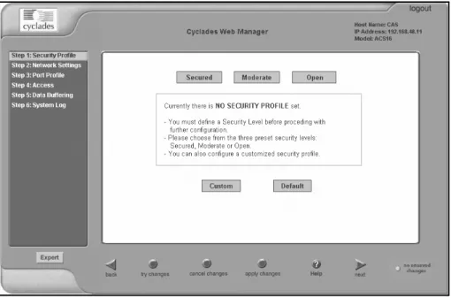 Figure 4.2: Example of Web Manager Form in Wizard Mode