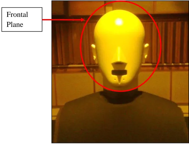 Figure 3.19 Frontal Plane 