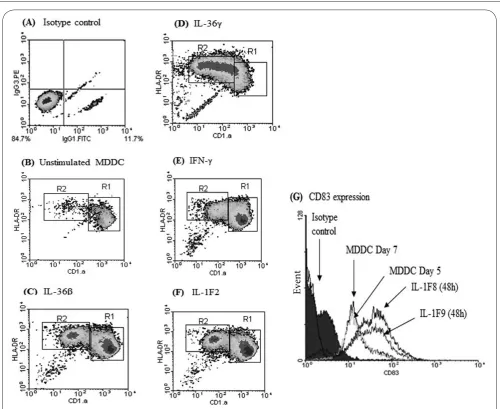 Figure 3. Immature MDDCs can be matured (to increase immunogenicity) by culture with specific cytokinesCompared to isotype controls (A) or unstimulated MDDCs cultured over the same time period (B)