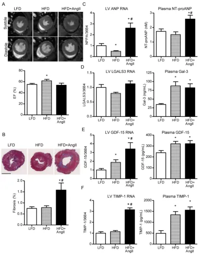 Figure 5. biomarker plasma levels (right panel). mid-ventricular sections of the LFD, HFD and HFD+AngII groups