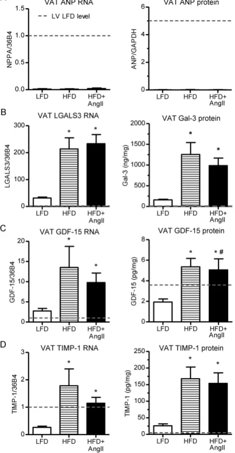 Figure 6. HF biomarkers in visceral adipose tissue of hypertensive/obese mice. Gene expression changes are presented as fold change relative to LV levels in the LFD group (dashed lines)