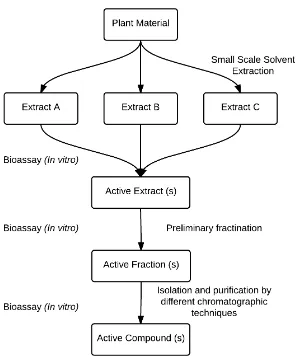 Figure 1.10 – Bioassay-guided natural product discovery process 