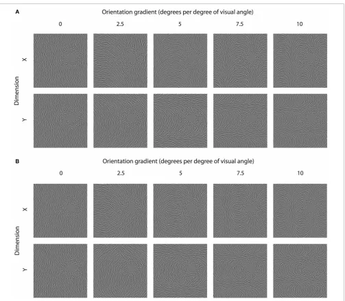 FIGURE 3 | Inducing spatially remote TAEs with orientation gradients.(A) Smoothly varying orientation textures are shown, where structure isdeﬁned by a linear change in orientation as a function of either thehorizontal (x) or vertical position (y)