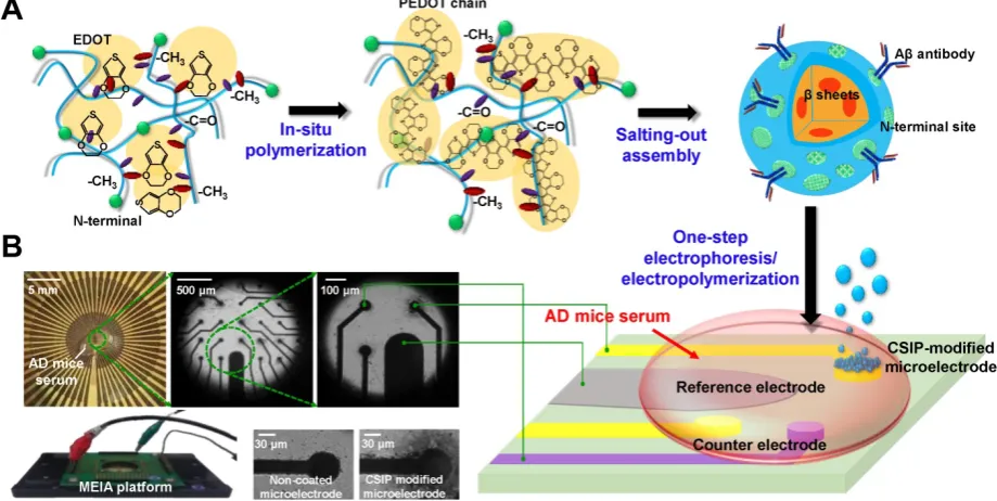 Figure 1Astrongly dependent on pH at various EDOT doping concentrations (The formation of conductive SF-nanoparticles was negatively charged C-terminus at a physiological pH of 7.4 [27]