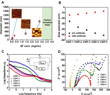 Figure 3. (A) Size diagram of silk-based nanoparticles with various SF protein concentrations