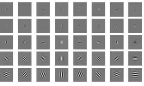 Fig. 5. A set of real impulse responses: multiscale, multi-orientation Gabor wavelet filters [8] 