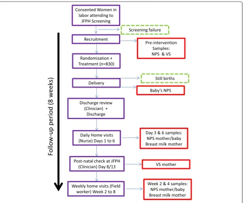 Fig. 3 Overall study approach