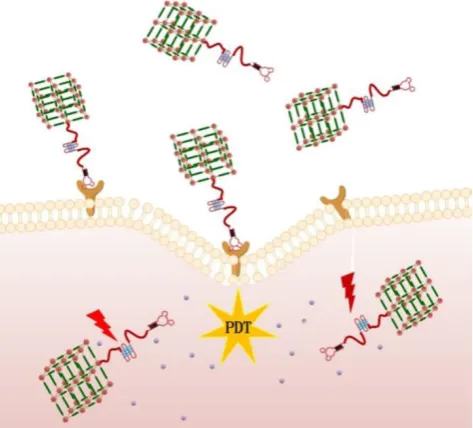 Figure 1. Schematic representation of aptamer-targeted delivery of TMPyP4-G4-aptamer-NMOFs nanosystem for PDT in living cells