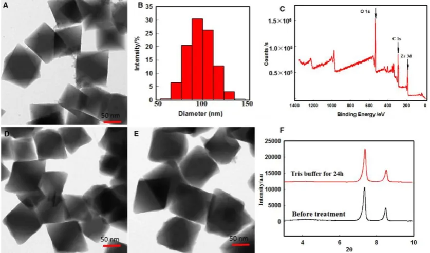 Figure 2. Morphology and structure of Zr-NMOFs.(A)TEM image of Zr-NMOFs. (B)DLS of Zr-NMOFs (PDI=0.132)