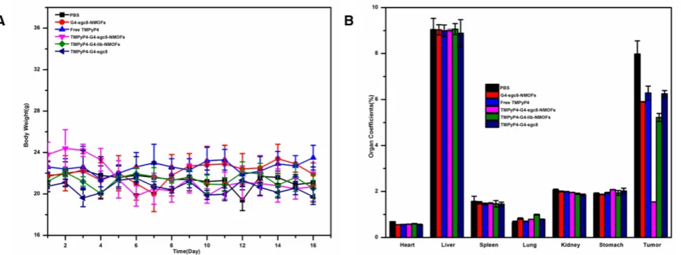 Figure 10. The body weight and organ coefficients of different mice groups. (A) The body weight changes of mice bearing HeLa tumors