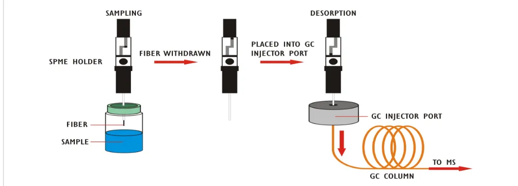 Figure 1: Diagram of analysis with solid phase microextaction-gas chromatography-mass spectrometry [SPME-GC-MS] [5].