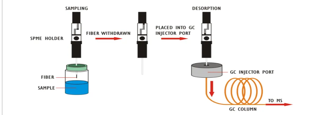 Figure 1: Diagram of analysis with solid phase microextaction-gas chromatography-mass spectrometry [SPME-GC-MS] [5].