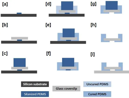 Fig. 5: Side view of the steps for fabrication PDMS microfluidic chip with optical window on top and bottom of the microfluidic channel