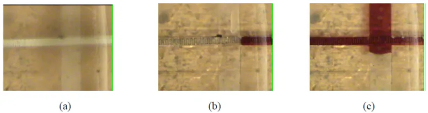 Fig. 6: Design of the paraffin microvalve showing the main fluidic channel for the sample, microheater and wax loading channel