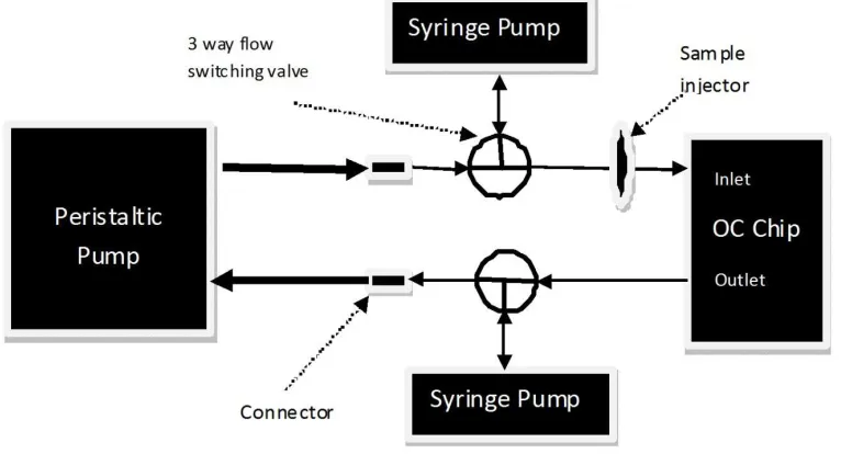 Fig. 14: Circuit diagram of the fluidic network used for the implementation of optical chromatography experiment