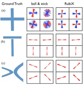 Fig. 5.Localization of different fiber configurations using RubiX. (a) Orthogonal crossing
