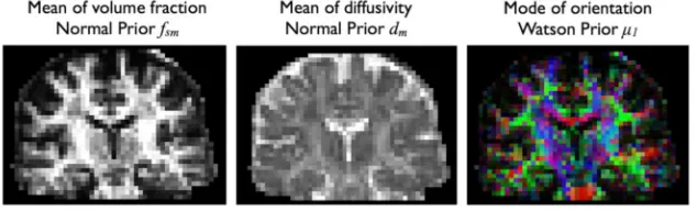 Fig. 9.Estimated hyper-parameters from RubiX, when conditional priors are utilized in the model.