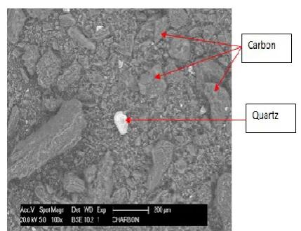 Figure 2. Activated carbon in MEB. 