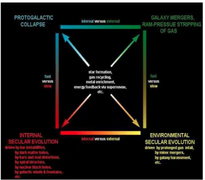 Figure 1.9: Diagram depicting the different evolutionary paths a galaxy may take, affecting theformation of a bulge