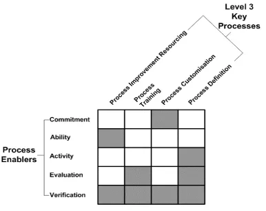 Figure 3-8: SPICE Level 3 process maturity matrix 