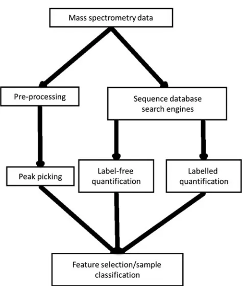 FIG. 2.Proteomics mass spectrometry data analysis work-ﬂow. The workﬂow diverges into two sections; the ﬁrst in-volves peak picking and application of machine learningdirectly on mass spectral peaks