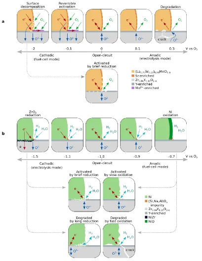 Figure 5. Electrode potential-driven activation and passivation phenomena. ., (a) the LSM/YSZ/O2 3PB and (b) the Ni/YSZ/H2,H2O 3PB