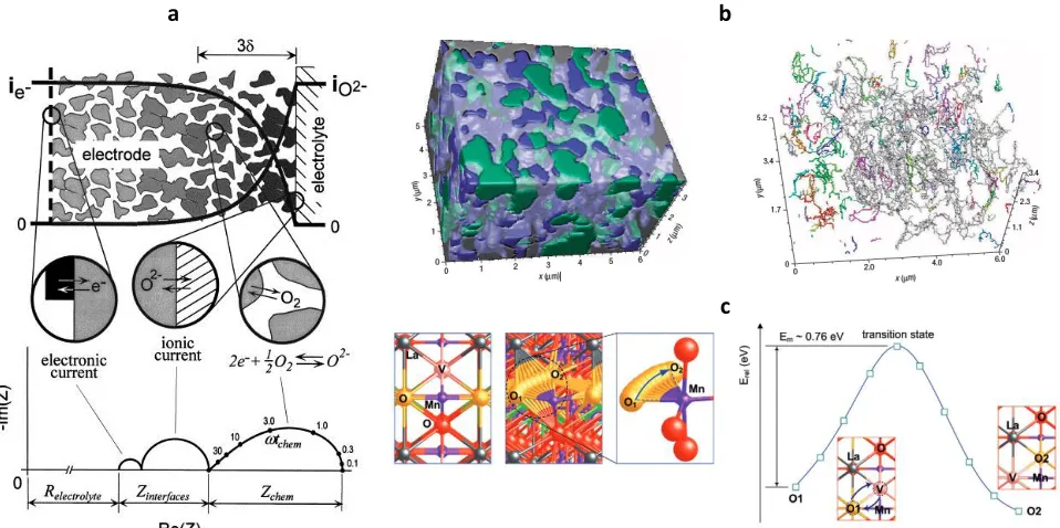 Figure 3. Tools and models for understanding active interfaces. (a) IS measurement and corresponding analysis using the Adler-Lane- Steel model for a porous mixed-conducting oxygen electrode 7