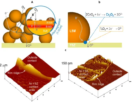 Figure 4 Segregation and contamination at the interface. (a) Schematic diagram of A-cations segregation to the surface of perovskites (adapted from ref 16)