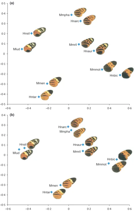Fig. 4. Ordination of dissimilarity data for ﬁve forms of Heliconius numata along with their comimics