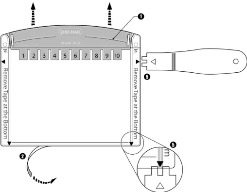 Fig. 1. Mini-PROTEAN Precast Gel Cassette.