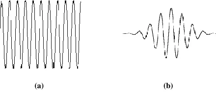 Figure 1.  (a) A Wave   (b) A Wavelet 