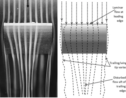 Fig. 10 Smoke visualisation and flow topology of the air flow over a 3D finite wing.