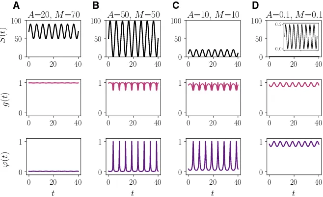 Fig. 8 aϕ( Plots of the nutrient concentration S(t) (top row) deﬁned according to (79) with M = 70, A = 20and T = 5, and the corresponding rescaled maximum ﬁtness g(t) (central row) and ﬁttest phenotypic statet) (bottom row) deﬁned according to (11)