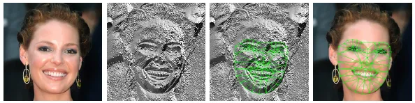 Fig. 1. The proposed Active Orientation Models (AOMs) are generative deformablemodels that: (i) use a statistically robust appearance model based on images gradientorientations, (ii) are accompanied by a robust algorithm for model ﬁtting and param-eter estimation and (iii) and, most importantly, generalize well to unseen faces andvariations.