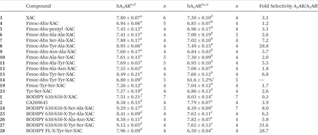 Table 1Binding aﬃnities of XAC-derived compounds at human A3AR and A1AR