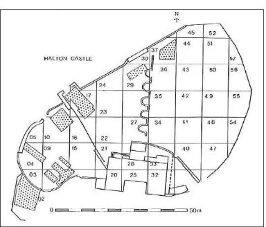 Figure. 2: Location Plan of trenches (stippled areas) excavated during 1986 & 87.  