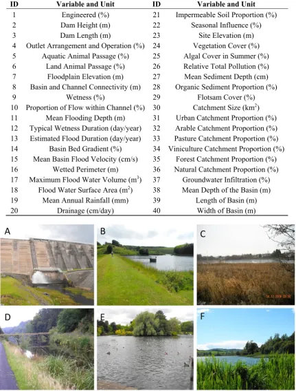 Table 1. Classification variables used for the assessment of sustainable flood  retention basins