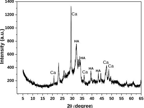 Figure 13 - X-ray diffractogram showing the presence of hydroxyapatite (HA) in the reaction of calcium hydroxide with the 