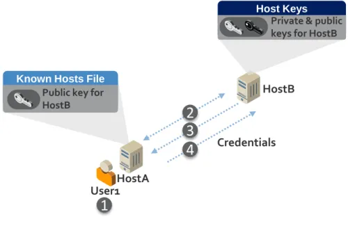 Figure 3-2: Password Authentication Process 