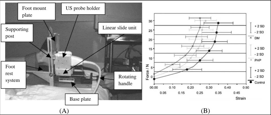Figure 2.12: Indentation of the heel pad: (A) Test rig, (B) Force-strain data for three subject ‎