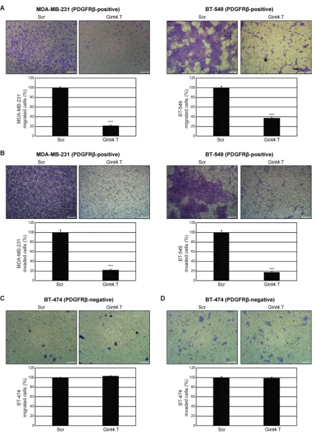 Figure 4. PDGFRβcells were analyzed as in (A) and (B), respectively. (A-D)presented as percentage of migrated or invaded cells in the presence of Gint4.T compared with Scr control