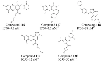 Figure II Receptor-Ligand interaction: PDB IDs 3OS3 (A) and 3PP1 (B) [http://www.rcsb.org]
