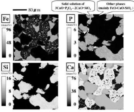 Figure 1.  EPMA mapping image of a BOF slag 