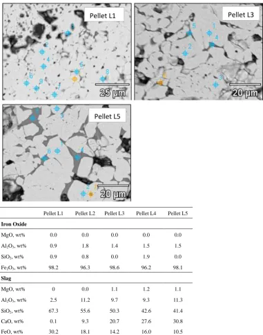 Figure 2.  SEM image of pellet L1, L3 & L5 with EDS analysis of all pellets (L1, L2, L3, L4 & L5)   