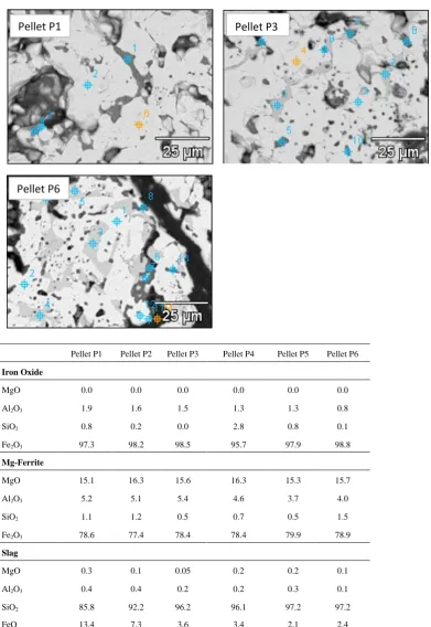 Figure 6.  SEM image of Pellet P1, P3 & P6 with EDS analysis of pellets (P1, P2, P3, P4, P5 & P6)  