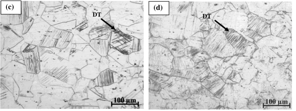 Figure 1.  Optical micrograph of (a) hot rolled – air cooled with 800C FRT, (b) hot rolled and solution treated (1040C, 1 h) specimen, (c) 10% cold deformed sample shows annealing twin (AT) and deformation twins (DT) and (d) 30% cold deformed sample reveals higher amount of deformation twin 