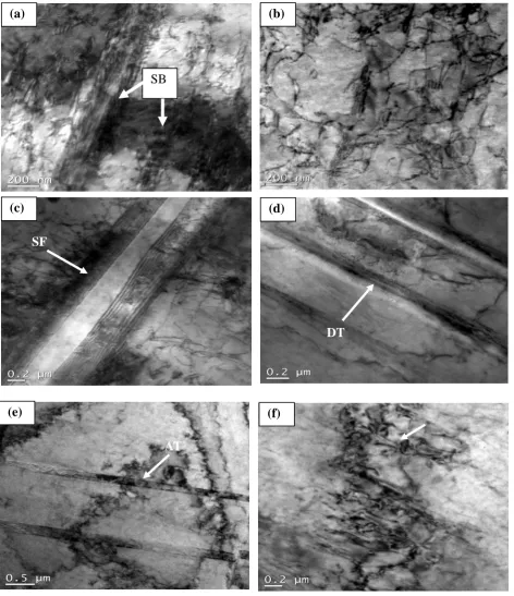 Figure 3.  TEM bright field (BF) micrograph of 10% cold rolled and annealed (900°C, 5 min.) specimen showing (a) onset of recovery, (b) dislocation cell structure indicating progress of recovery, (c) twin-stacking faults (SFs) interaction, (d) deformation twins (DT), (e) recovered cellular region with annealing twins (AT) and (f) partially recrystallised submicron grain (denoted by arrow) along the deformed austenite grain boundary 