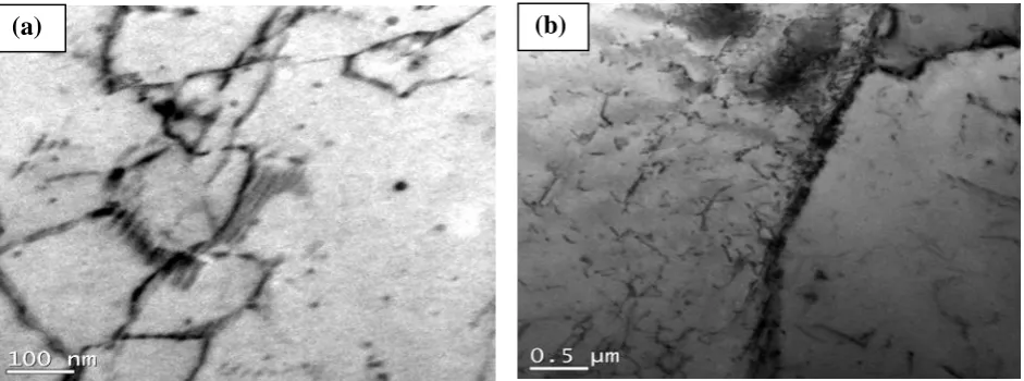 Figure 4.  Optical micrograph of hot rolled - air cooled and 30% cold deformed samples subjected to annealing for 5 minutes at  (a) 600 °C, (b) 700°C, (c) 800°C and (d) 900°C 
