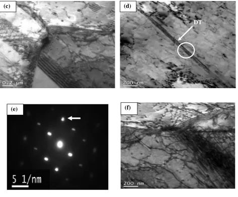 Figure 6.  Schematic illustration showing microstructural changes before and after cold rolling and annealing 